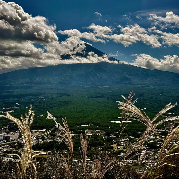 Meet your Posher, Benz Her - Picture 1 of 16